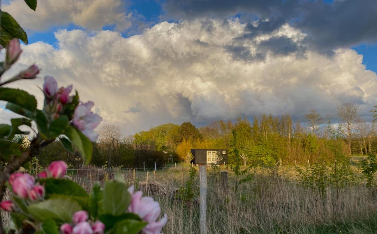 Bed and Breakfast Aeblehaven Toftebjerg Exterior foto